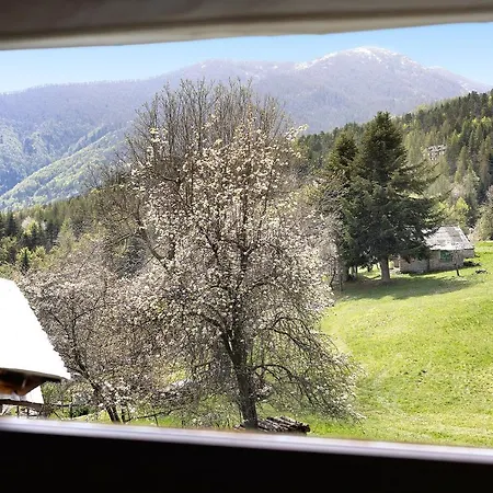 Il Teccio Di Sandro Holiday home