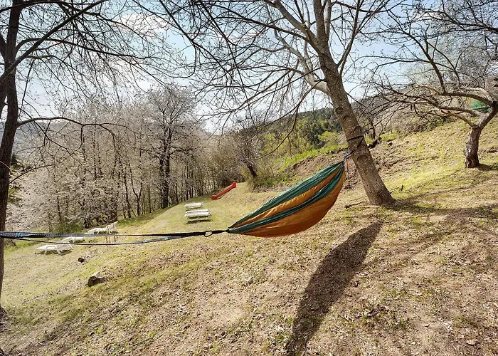 Il Teccio Di Sandro Vakantiehuis Mendatica